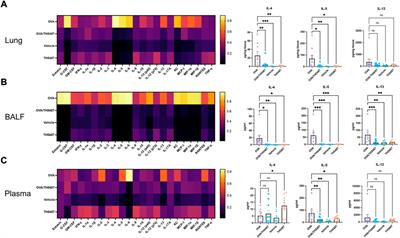 Pharmacological OGG1 inhibition decreases murine allergic airway inflammation